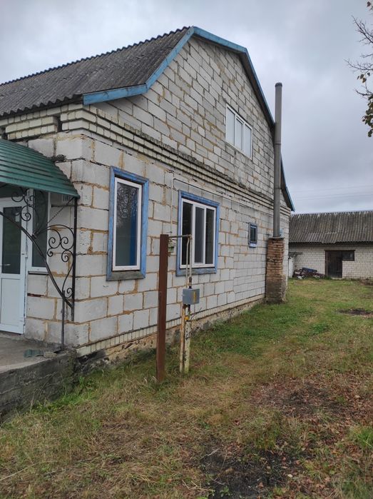 Продам будинок с.Орвяниця