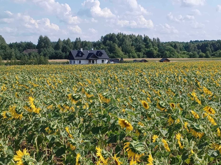 Agroturystyka,Balia,Noclegi,Wieczór Panieński,Dom Puszcza Białowieska