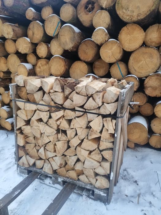 Drewno Opałowe SOSNA