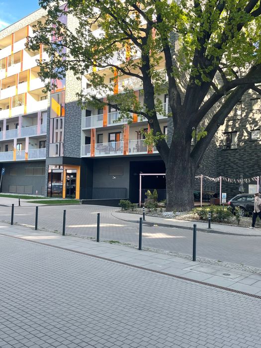 Miejsce postojowe Vis-a-vis Ogrodu Botanicznego, ul. Sienkiewicza.
