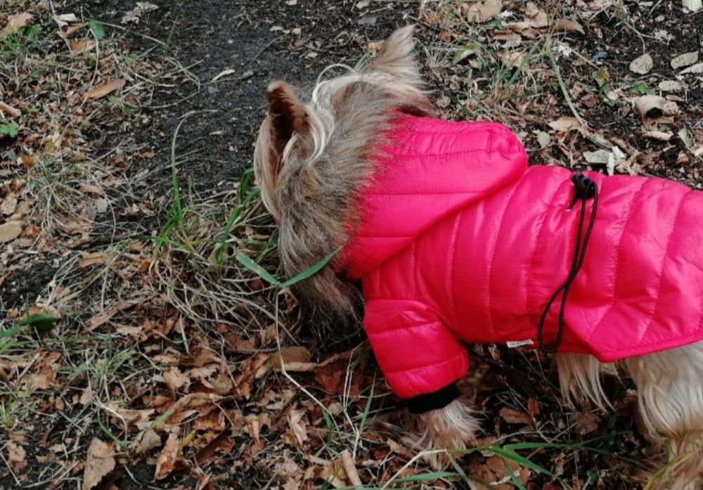 Куртка для собак