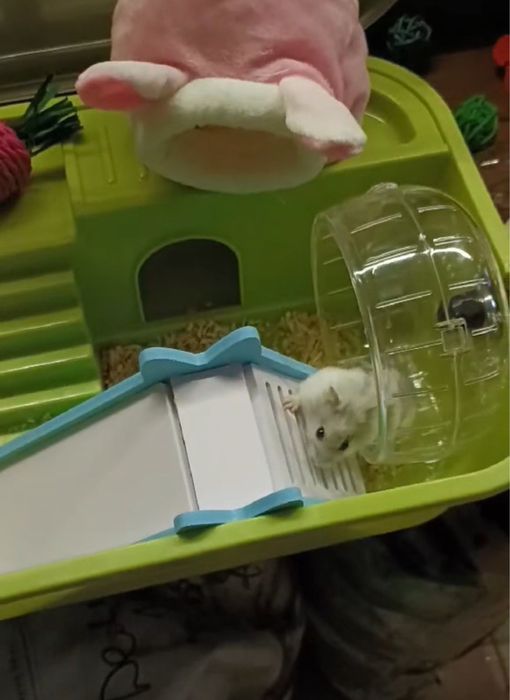 Клетка для хомяка