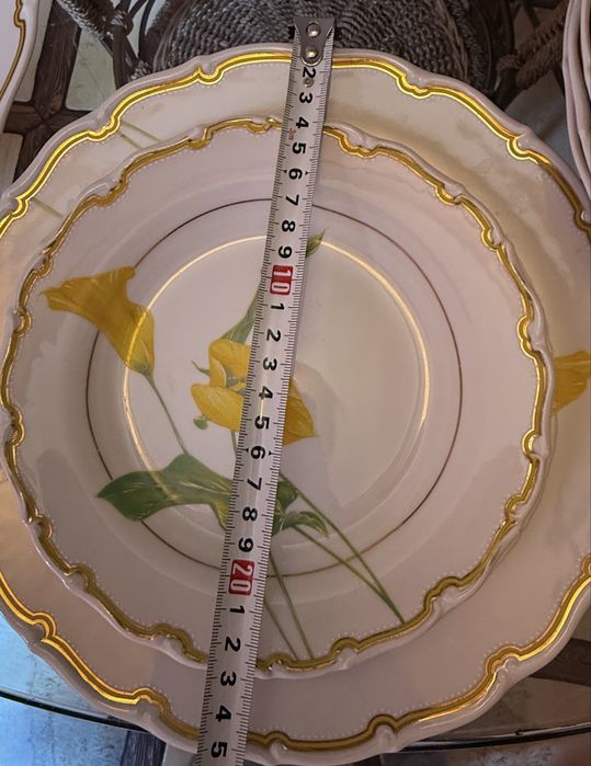Колекційний порцеляновий сервіз Haas & Czjzek (Чехія, з 1792 р.)