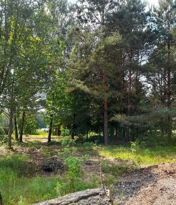 Działka Hryniewicze - Widok 4