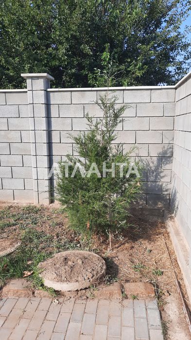 Дом новой постройки  в Фонтанке