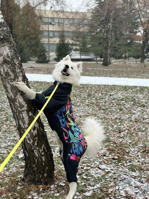 одяг для собак великі розміри