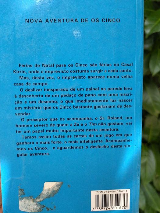 Nova Aventura de Os Cinco (Enid Blyton)