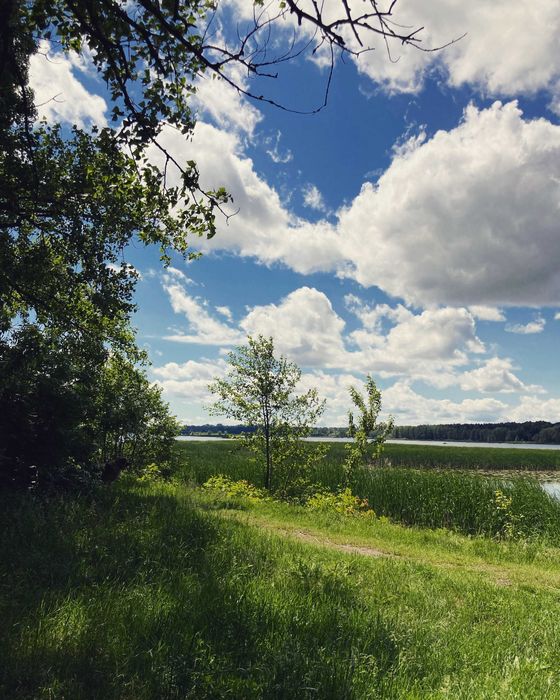 Inny Dom do wynajęcia/ Święta/ Wieczory Panieńskie