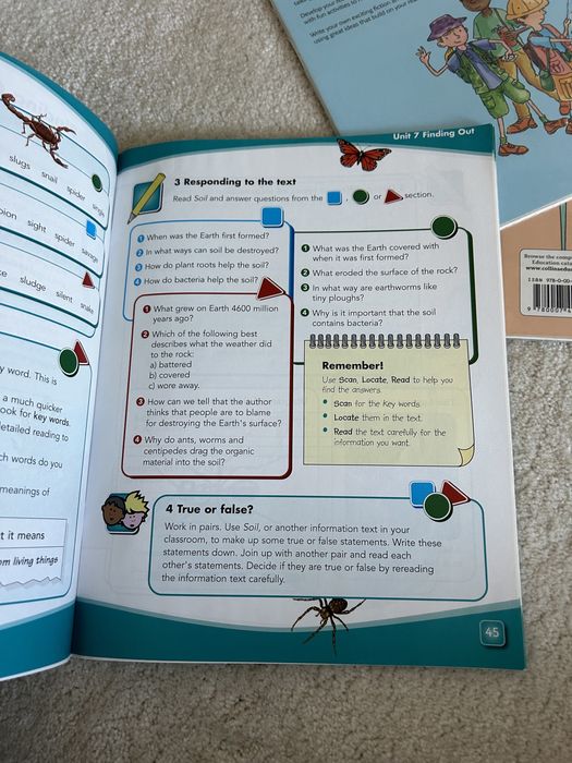 Collins primary focus / literacy f4
