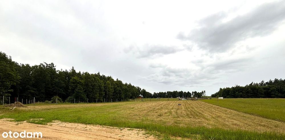 Działka budowlana w lesie. Z Pozwoleniem na Bud. Kaszuby. Jezioro