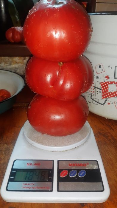 Семена"Розовый мед" очень вкусных помидор