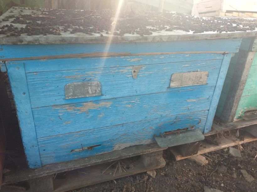 Улья для пчёл продам 500-650грн