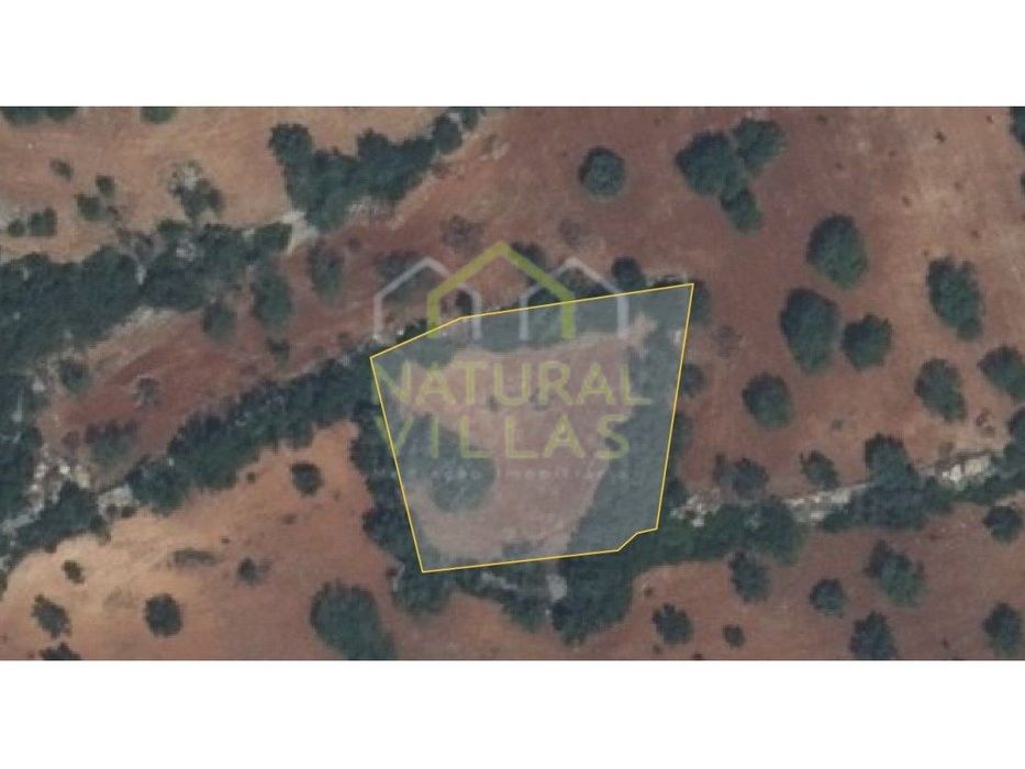 Terreno Rústico Vista Mar em Bordeira, Santa Bárbara de Nexe