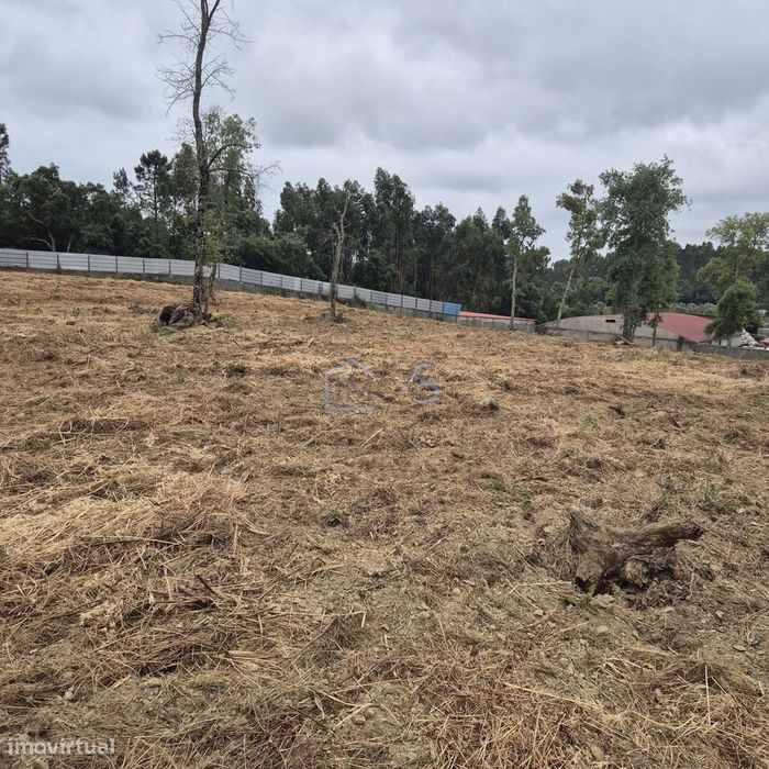 Terreno com 4.560 m² e Viabilidade de Construção – Casais, FZZ