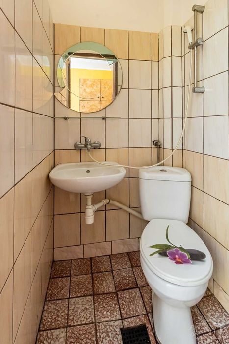 Mieszkanie, pokój do wynajęcia