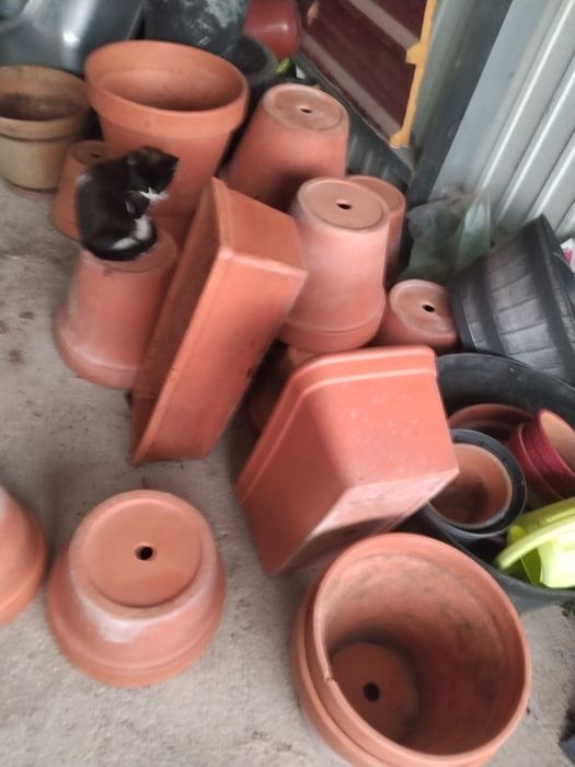 Vasos Ceramica usados