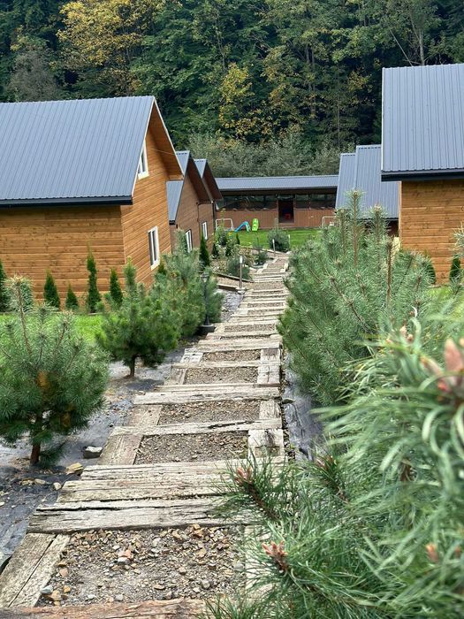 Domki noclegi w Bieszczadach