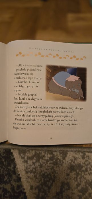 Książka zwariowany Zwierzyniec