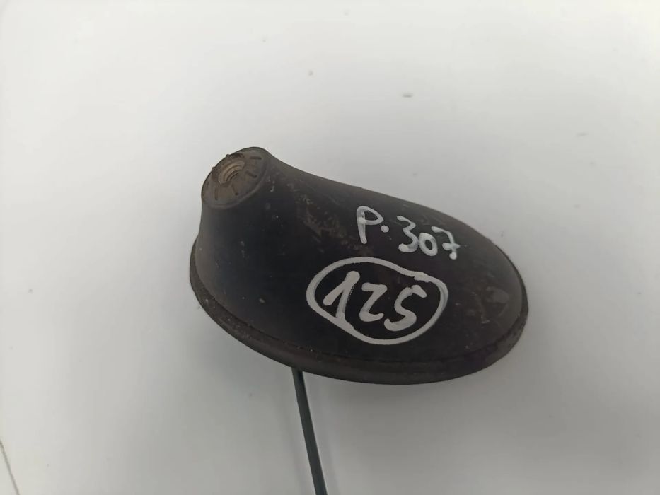 Base de antena PEUGEOT 307 (3A/C)
