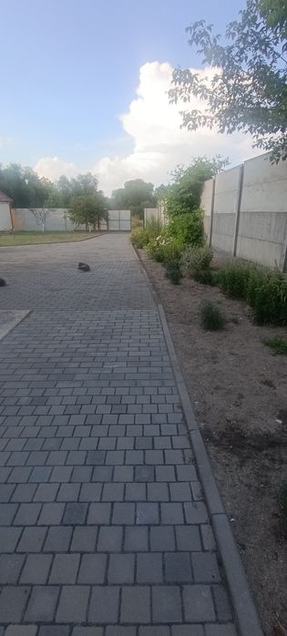 Продається будинок в мальовничому куточку с.Левків.