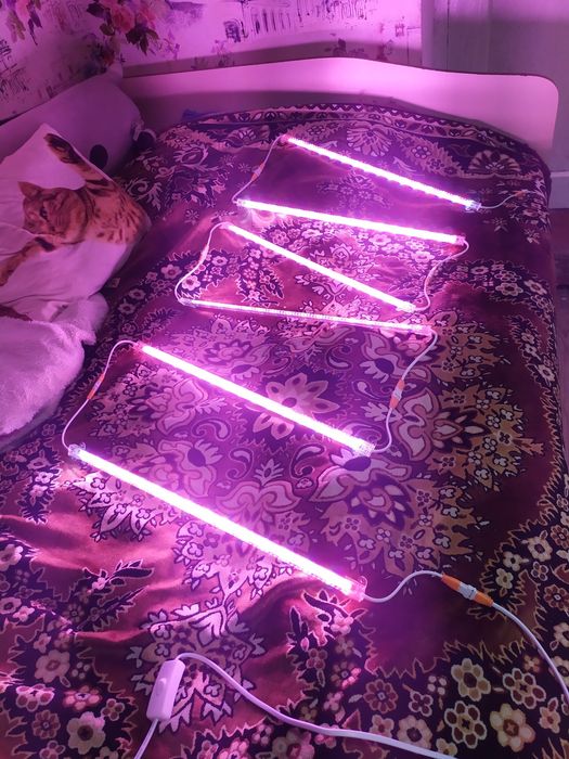 Фітолампа для рослин повний спектр Фитолампа