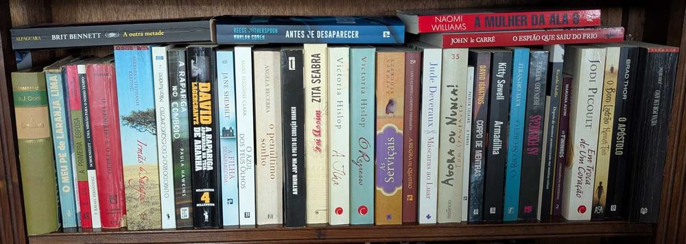 Coleção de Romances / Thrillers / Ficção — +150 livros, muito bom estado