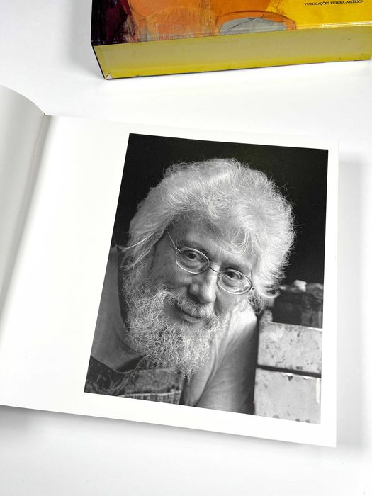 Júlio Pomar de Mário Dionísio Publicações Europa-América 1990 Livro