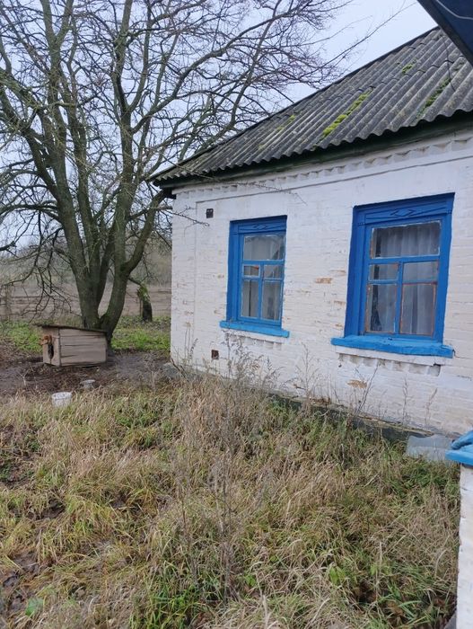 Будинок знаходиться в живописьній місцевісті с.Хоцькі.