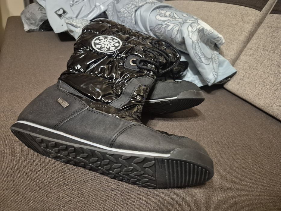 Śniegowce wysokie 39