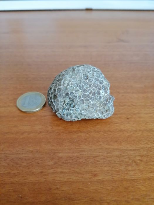 Venda de coral marinho