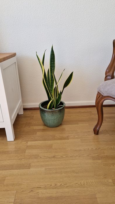Vaso cerâmico 22 cm