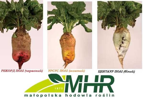 Буряк кормовий Урсус Центаур Рекорд 20 кг Польща фермерський мішок