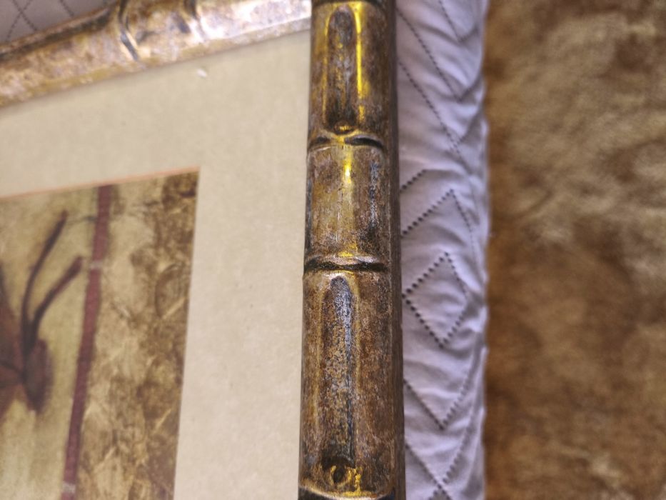 Quadros exóticos com moldura estilo bambu dourado