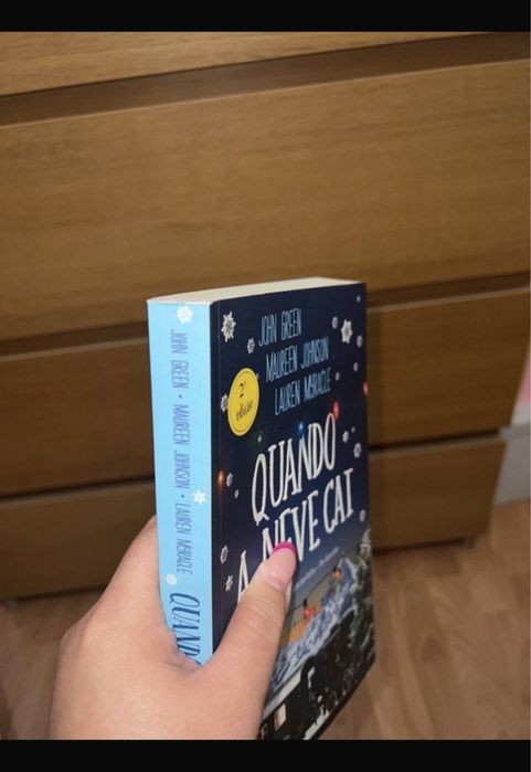 Livro- Quando a neve cai