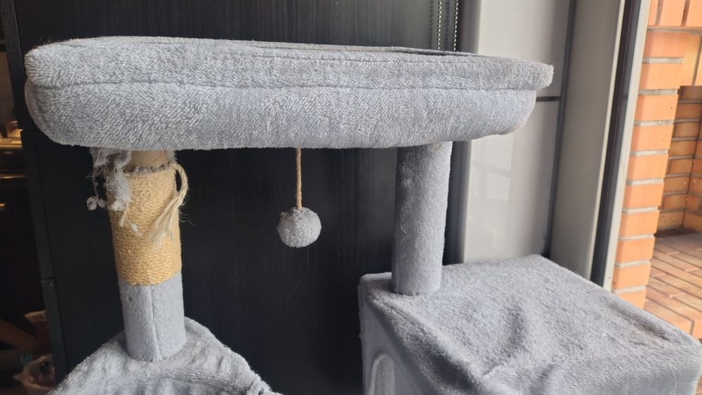 Arranhador/árvore gato