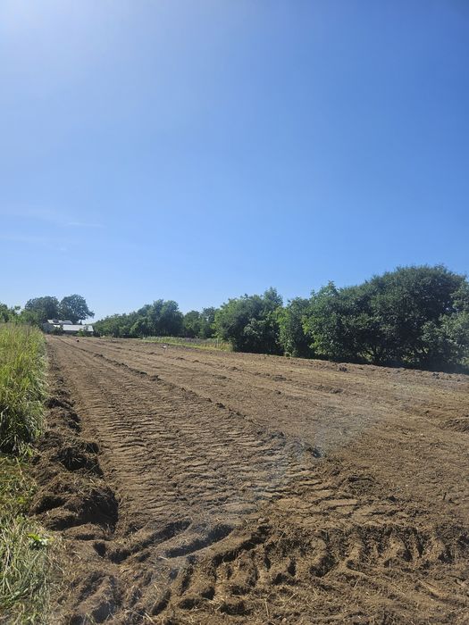 Mulczowanie wgłębne powierzchowne wycinka drzew zakrzaczeń
