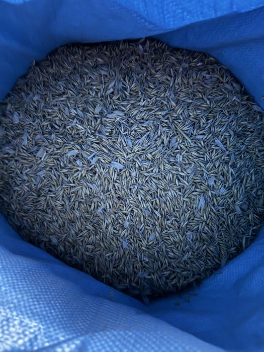 Pelet zamienik owies