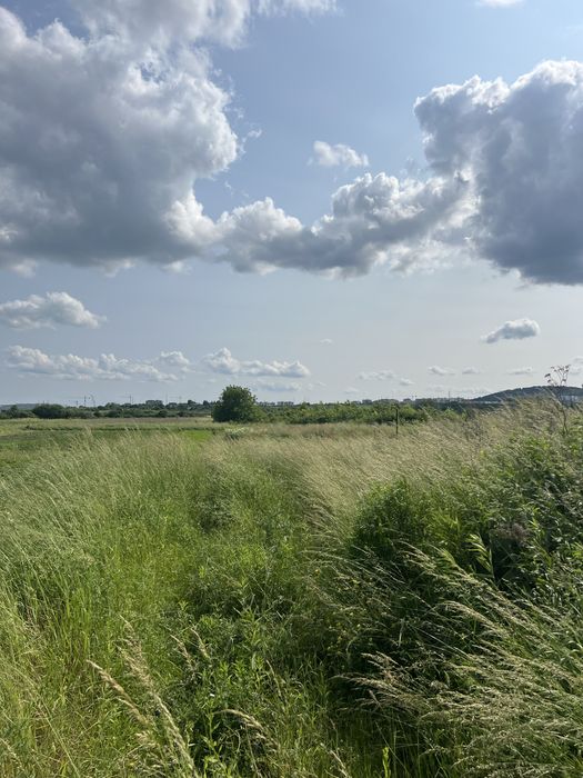 Підбірці пустомитівський район