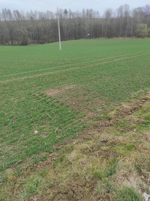 Sprzedam działki Bistuszowa