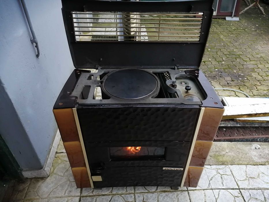 Salamandras a gasóleo