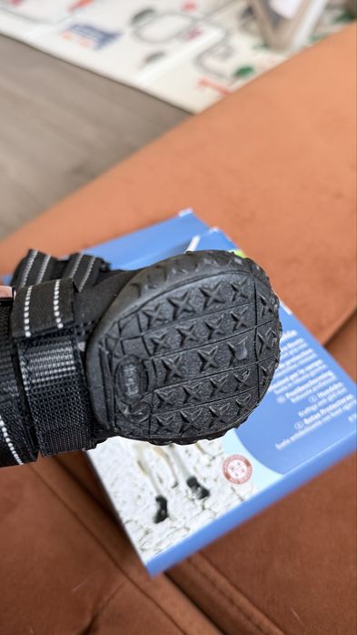 Взуття для собак