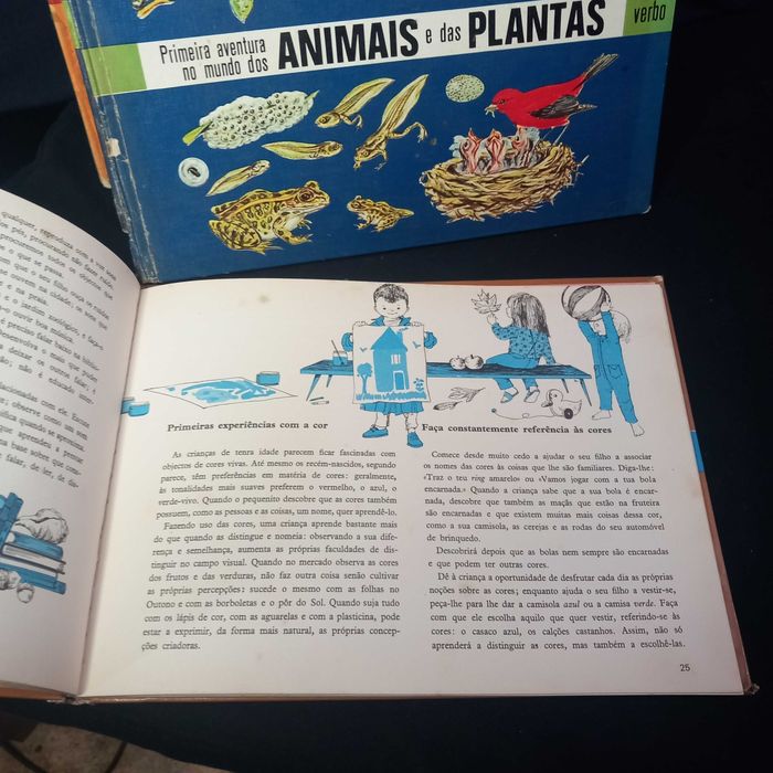 "Primeira aventura no mundo" Ed. Verbo