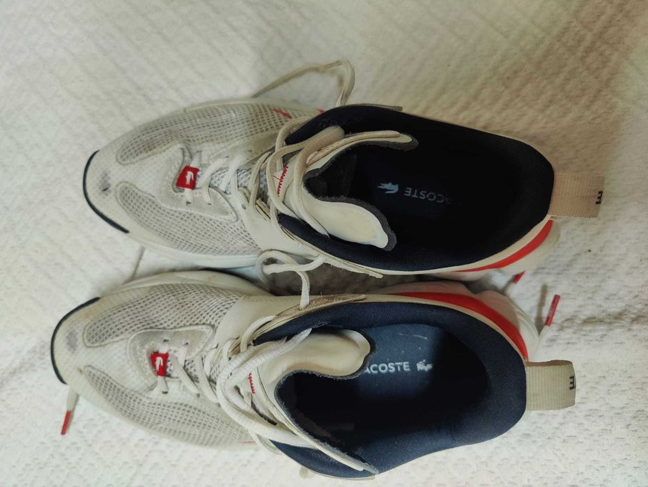 Sapatilhas Lacoste tam. 42 em muito bom estado.