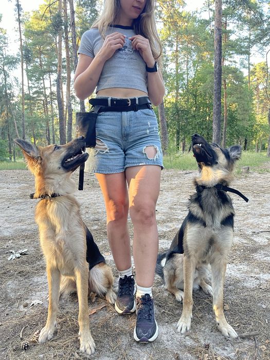 Кінолог, зоопсихолог. Дресирування собак.