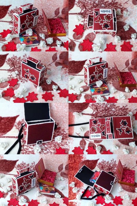 Небесне благословення Хва Чен Благословення небожителів Гаррі Поттер