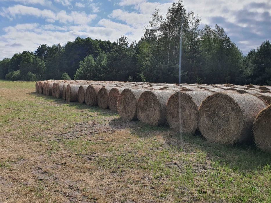 Siano, Słoma  bele 135