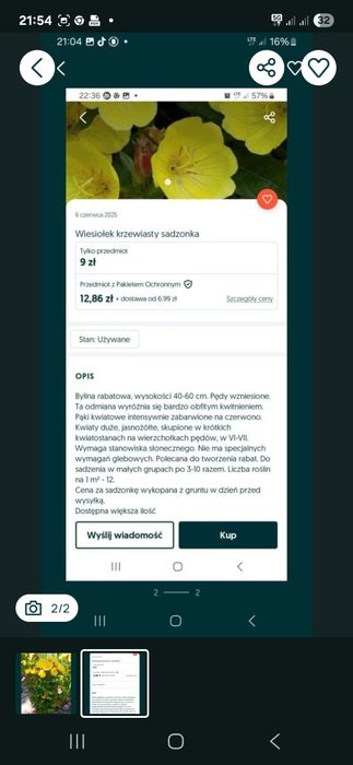 Wiesiołek krzewiasty