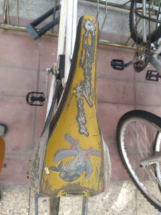 Bicicleta (travões novos)