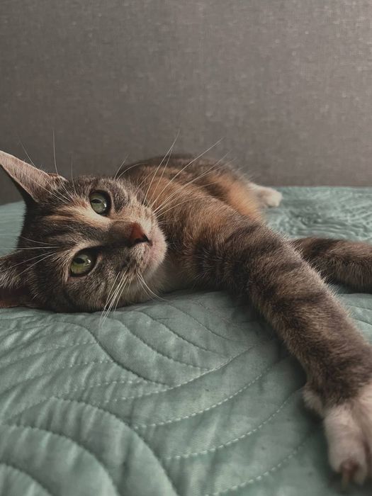 У добрі відповідальні руки - Міруся.