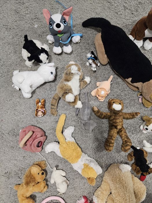 Mega paka zestaw maskotek pieski kotki 35szt